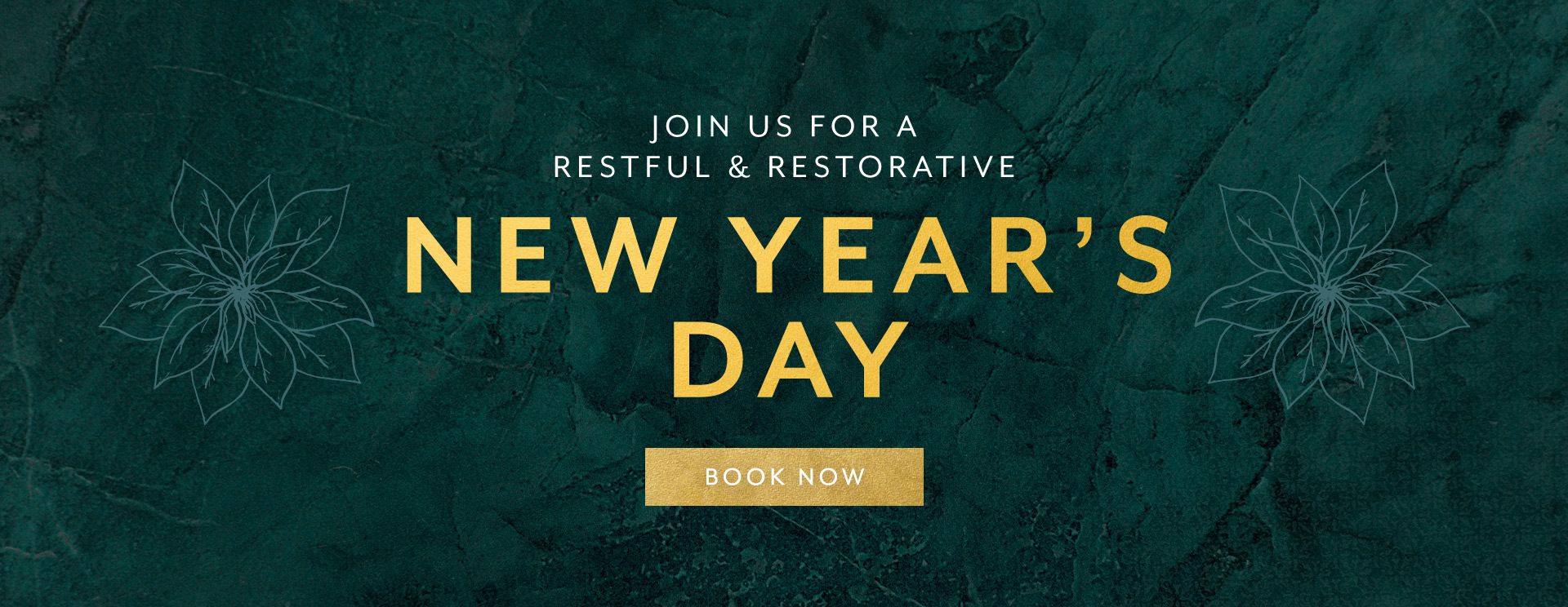 New Year's Day at The Plough Inn